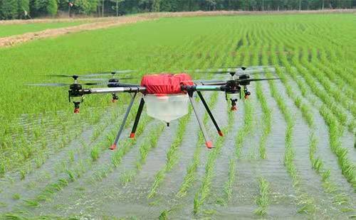 无人机和人工智能显示有望保护农田