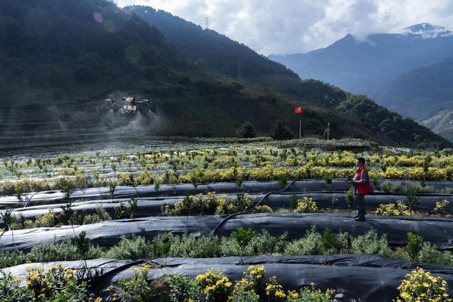 西藏用上4G网络、山村用无人机灌溉……这些地方的变化你想得到吗？