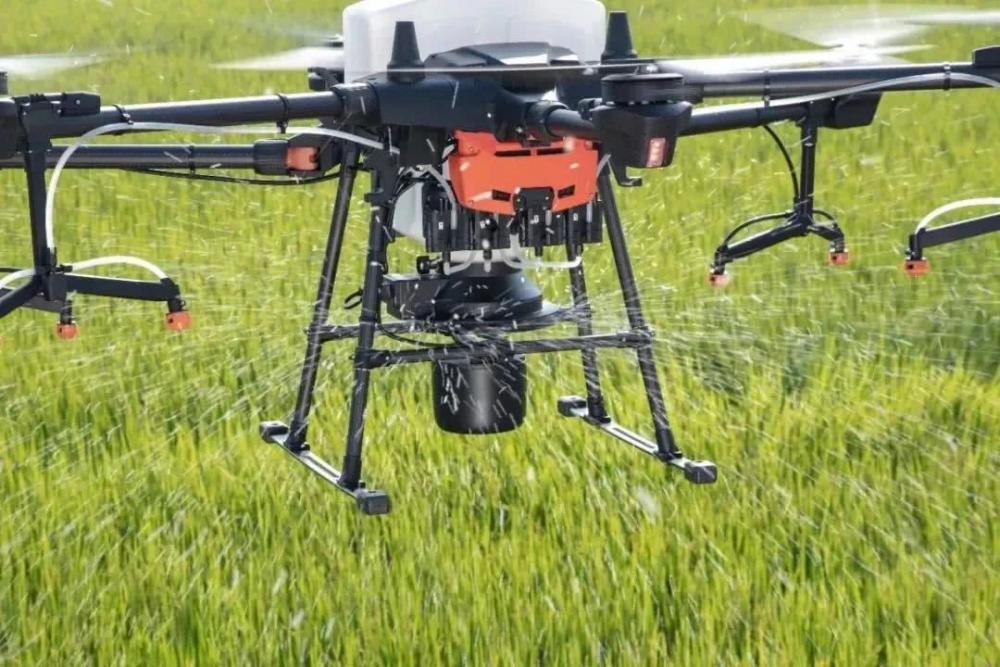  种水稻无需弯腰插秧，用无人机飞播就行了？专家：对，还能增产